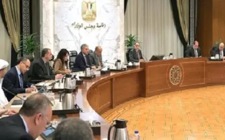 رئيس الوزراء يلتقي مع شركات إماراتية ويؤكد الحرص على تكثيف التعاون مع الدول الشقيقة