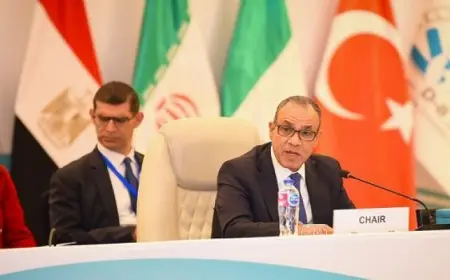 وزير الخارجية يترأس الاجتماع الوزاري الحادى والعشرين لمنظمة الدول الثماني النامية للتعاون الاقتصادي