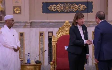 الرئيس السيسي يستقبل القادة المشاركين في أعمال القمة الـ11 لمنظمة الدول الثماني النامية للتعاون الاقتصادي