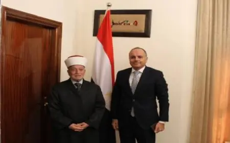 فلسطين: اعترافات جنود الاحتلال بارتكاب جرائم حرب تتطلب ضغطا دوليا أكبر لوقف الإبادة