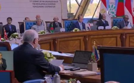 الرئيس السيسي يعتمد تعيين السفير الباكستاني سهيل محمود سكرتيرا عاما لمنظمة الدول الثماني النامية