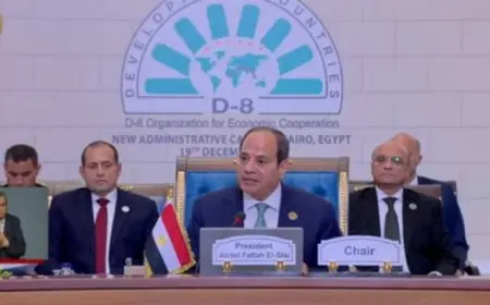 الرئيس السيسي: قبول طلب انضمام جمهورية أذربيجان لعضوية مجموعة الثماني النامية للتعاون الاقتصادي