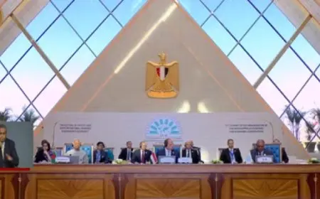 الرئيس السيسي يؤكد ضرورة ترجمة قرارات وتوصيات قمة “الدول الثماني النامية” إلى خطوات عملية محددة