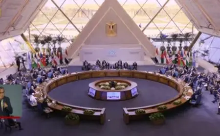 الرئيس السيسي يشارك بالجلسة الخاصة بالأوضاع في فلسطين ولبنان بقمة “الدول الثماني النامية”