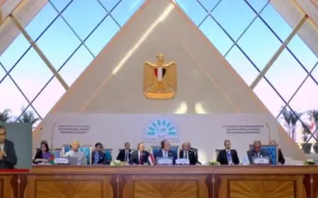 الرئيس السيسي يتسلم الرئاسة الدورية لقمة الدول الثماني النامية للتعاون الاقتصادي