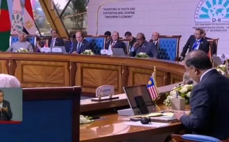 الرئيس السيسي يعلن اعتماد البيان المشترك حول الأوضاع في فلسطين ولبنان ضمن قمة “الدول الثماني النامية”