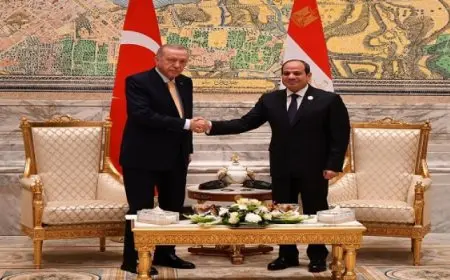 الرئيس السيسي يلتقي نظيره التركي على هامش أعمال قمة الدول الثماني النامية