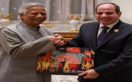 الرئيس السيسي يلتقي رئيس الحكومة الانتقالية المؤقتة ببنجلاديش على هامش أعمال قمة الدول الثماني النامية