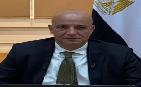 السفير أشرف سويلم يلقي كلمة مصر في الاجتماع الوزاري لمجلس السلم والأمن الإفريقي حول الصومال