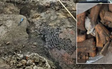 اكتشاف أرضية مصنوعة من عظام الحيوانات يعود تاريخها للقرن الـ15 بهولندا