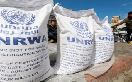 مفوض “الأونروا”: قرار السويد بوقف التمويل “مخيب للآمال”