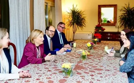 المشاط تلتقي نائب رئيس بنك الاستثمار الأوروبي خلال زيارتها لمصر لمُناقشة مختلف ملفات العمل المشترك