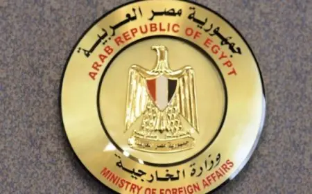 مصر تدين حادث الدهس الذى وقع في مدينة ماجدبورج الألمانية