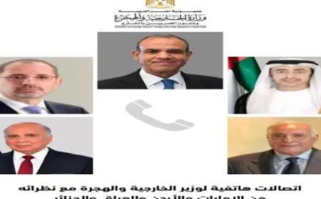 وزير الخارجية يجرى إتصالات هاتفية مع نظرائه من الإمارات والأردن والعراق والجزائر