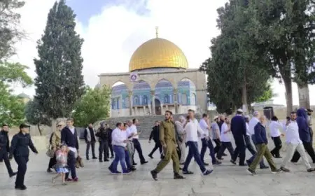 مستوطنون يقتحمون الأقصى والاحتلال يستدعي عددًا من حراسه