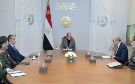 الرئيس السيسي يوجه باستمرار العمل على تطوير منظومة الطيران بشكل متكامل
