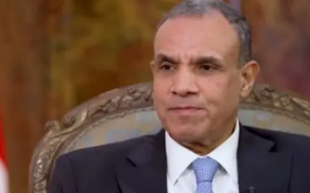 وزير الخارجية يؤكد أهمية الدور المصري في دعم قضايا القارة الإفريقية على كافة المستويات