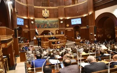 مجلس الشيوخ يوافق نهائيا على مشروع قانون “تنظيم المسؤولية الطبية وحماية المريض”