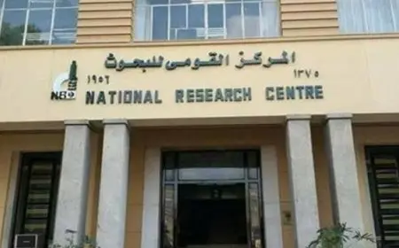 التعليم العالي: “قومي البحوث” يتصدر تصنيف “سيماجو” للمراكز والمعاهد والهيئات البحثية لعام 2024