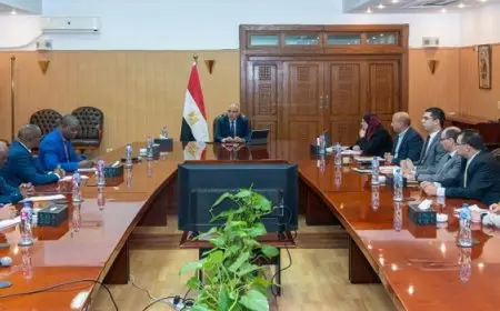 بال. وزير الري يشهد ختام فعاليات الدورة الحادية عشر من اجتماعات اللجنة الفنية التوجيهية المشتركة بين مصر والكونغو الديمقراطية