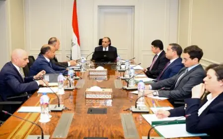 وزير الخارجية يعقد اجتماعا مع القطاع القنصلي للوقوف على جهود تطوير الخدمات القنصلية