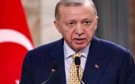 أردوغان يأمر بالتحقيق في حادث الانفجار بمصنع شمال غربي البلاد