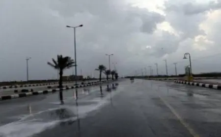 الأرصاد الجوية: طقس الغد مائل للبرودة نهارا شديد البرودة ليلا على أغلب الأنحاء