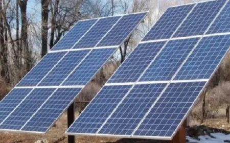 رئيس “العربية للتصنيع” ووزير الكهرباء يشهدان توقيع عقد إنشاء مشروع للألواح الشمسية