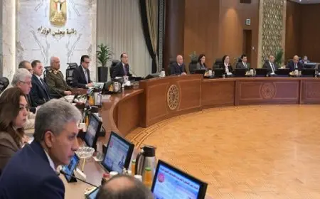 مجلس الوزراء يوافق على آلية سداد قيمة المتأخرات المُستحقة للشركات المُصدِّرة