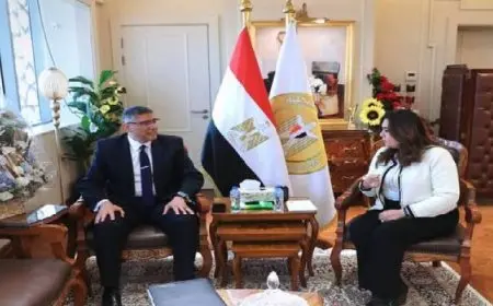 وزيرة التنمية المحلية تتابع مع محافظ الجيزة مشروعات الخطة الاستثمارية والمبادرة الرئاسية ” حياة كريمة “