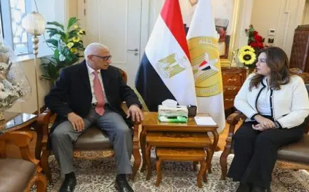 وزيرة التنمية المحلية تبحث مع محافظ شمال سيناء الموقف التنفيذي للمشروعات التنموية والخدمية