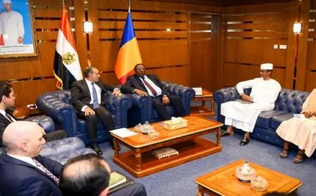مباحثات سياسية بين وزير الخارجية ونظيره التشادي في العاصمة نجامينا