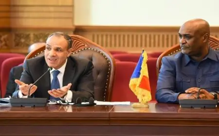 وزير الخارجية يلتقي وزير البنية التحتية التشادي ويؤكد حرص مصر على دعم جهود التنمية في نجامينا