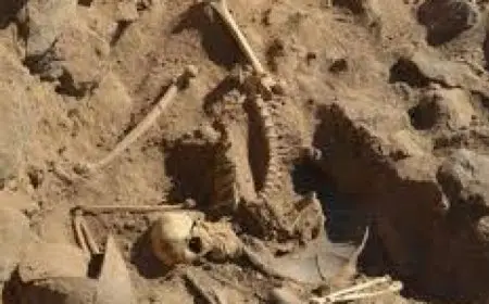 هياكل عظمية وبقايا بشرية.. محققون يعثرون على 12 جثة بمقابر سرية في المكسيك