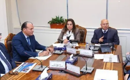 وزيرة التنمية المحلية ووزير الصناعة والنقل يبحثان مشروعات برنامج التنمية بالصعيد