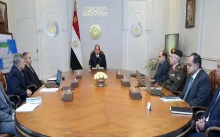 الرئيس السيسي يشدد على ضرورة تعظيم العائد الاقتصادي للموانئ المطلة على المجرى الملاحي لقناة السويس