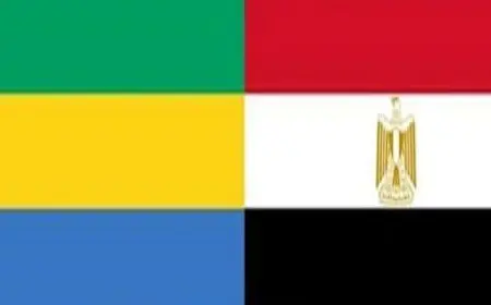 وزير الخارجية يتوجه إلى الجابون لبحث سبل تعزيز التعاون