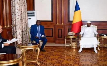 وزير الخارجية يسلم رسالة من الرئيس السيسي إلى رئيس جمهورية تشاد