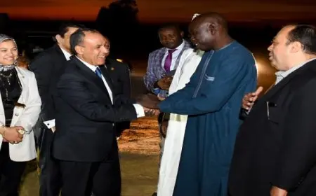 وزير الخارجية والهجرة يزور فرع جامعة الإسكندرية في تشاد