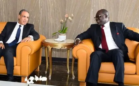 وزير الخارجية يبحث مع نظيره الجابوني تعزيز الأمن والاستقرار في القارة الإفريقية