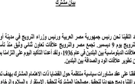 في بيان مشترك.. مصر والنرويج تتفقان على عقد مشاورات سياسية منتظمة لتعزيز الشراكة بينهما