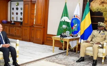 وزير الخارجية يلتقي مع رئيس الجابون خلال زيارته إلى ليبرفيل .. وبيان مشترك يؤكد عقد جولة جديدة للمشاورات الثنائية في القاهرة