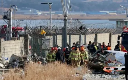 المكتب الرئاسي في كوريا الجنوبية يعقد اجتماعا عاجلا لمتابعة تطورات حادث الطائرة