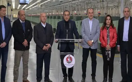 بال وال .. رئيس الوزراء يعلن انتهاء المرحلة الأولى من تطوير مجمعات مصانع الغزل والنسيج