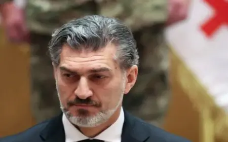 تنصيب رئيس جورجيا الجديد وسط احتجاجات مستمرة