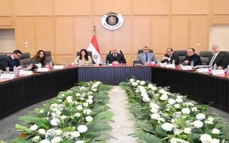 وزيرا الصناعة والمالية يعلنان إطلاق المرحلة الأولى من المبادرة الجديدة لمساندة الشركات بالقطاعات الصناعية