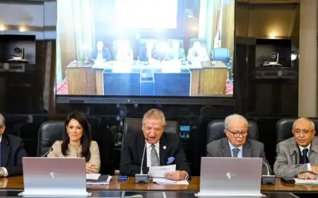 المشاط : خطة التنمية الاقتصادية للسنة المالية بمثابة مراجعة لجهود تشاركية