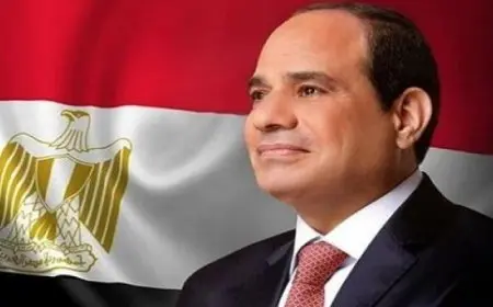الرئيس السيسي يهنئ أبناء الجاليات المصرية بالخارج بمناسبة العام الميلادي الجديد 2025