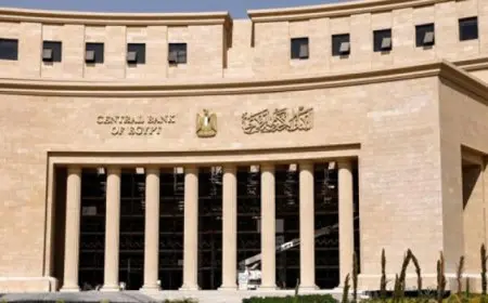 البنك المركزي يمدد إعفاء الأفراد من رسوم التحويلات عبر المنظومة الوطنية للمدفوعات اللحظية
