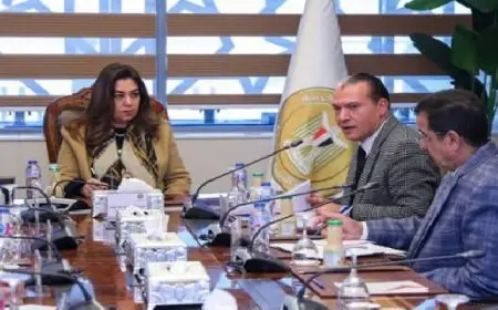 وزيرة التنمية المحلية تتابع مع محافظ الإسكندرية ورئيس الاتحاد العام للغرف التجارية جهود التوسع في نموذج “سوق اليوم الواحد”
